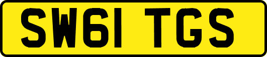 SW61TGS