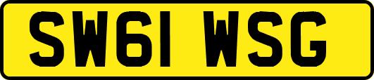SW61WSG