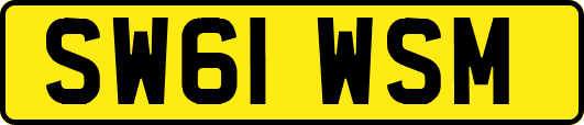 SW61WSM
