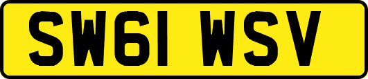 SW61WSV