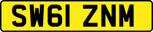 SW61ZNM