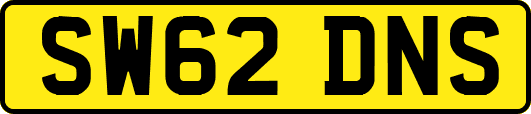 SW62DNS