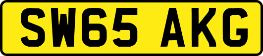 SW65AKG