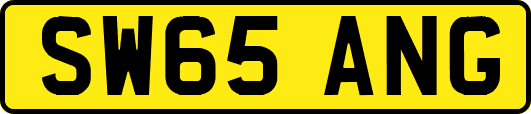 SW65ANG