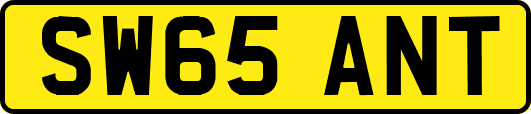 SW65ANT