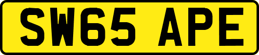 SW65APE