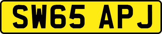 SW65APJ
