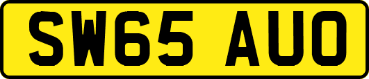 SW65AUO