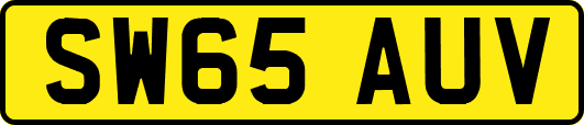 SW65AUV
