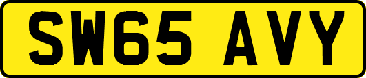 SW65AVY