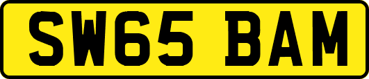 SW65BAM