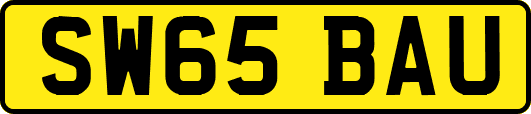 SW65BAU