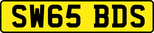 SW65BDS