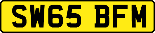SW65BFM