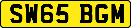 SW65BGM