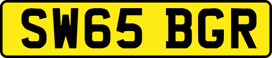 SW65BGR