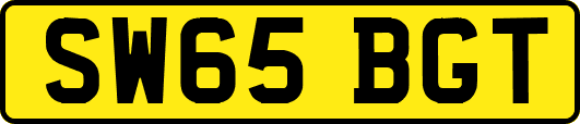SW65BGT