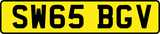 SW65BGV