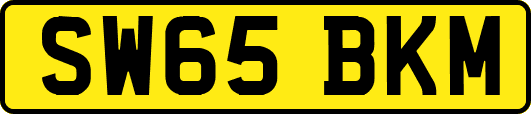 SW65BKM