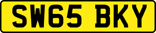 SW65BKY