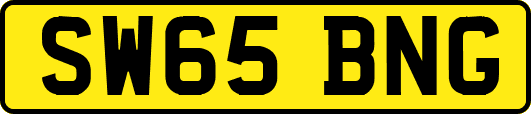 SW65BNG