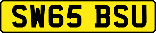 SW65BSU
