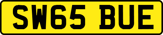SW65BUE