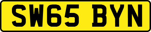SW65BYN