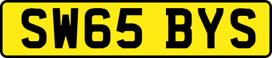 SW65BYS