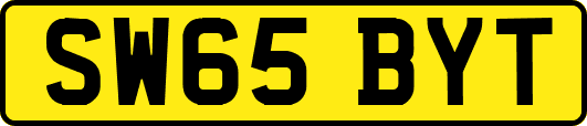 SW65BYT