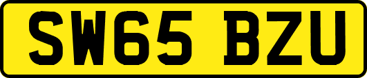 SW65BZU