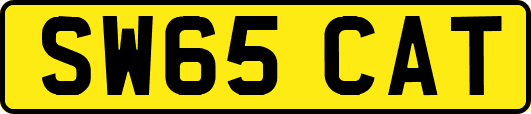 SW65CAT