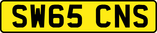 SW65CNS