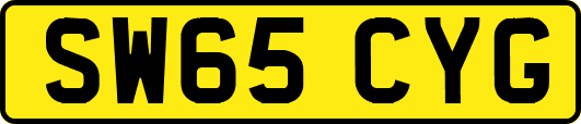 SW65CYG
