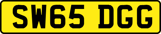 SW65DGG