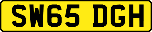 SW65DGH