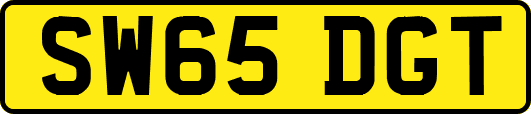 SW65DGT