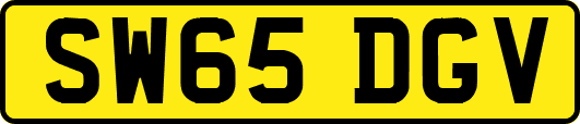 SW65DGV