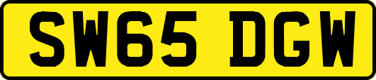 SW65DGW