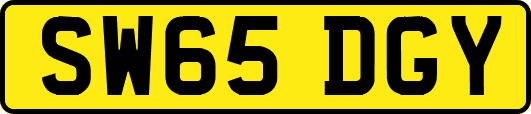 SW65DGY