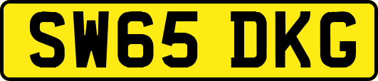SW65DKG