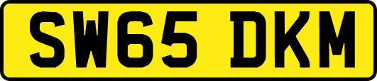 SW65DKM