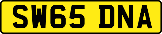 SW65DNA