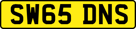 SW65DNS