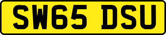 SW65DSU