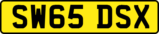 SW65DSX