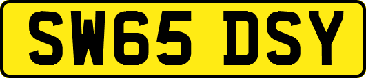 SW65DSY