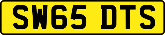 SW65DTS