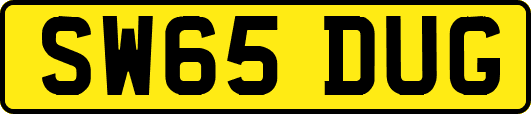 SW65DUG