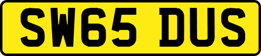 SW65DUS